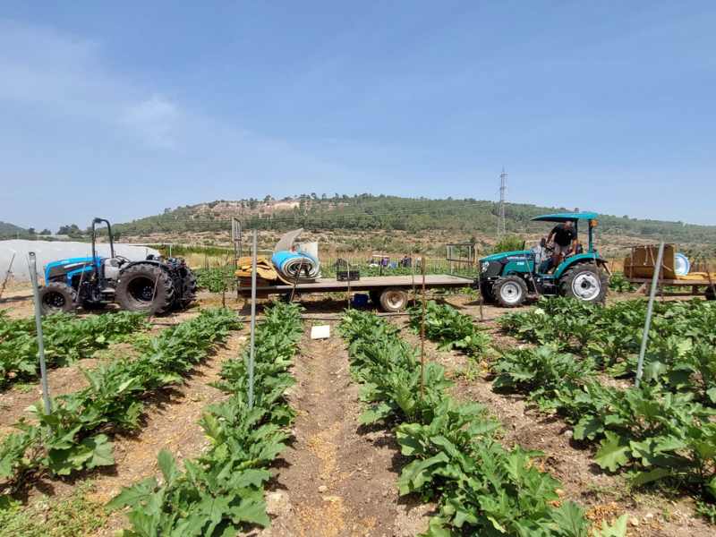 טרקטור חקלאי קטן וקומפקטי לעבודות שונות בכרם או במטע